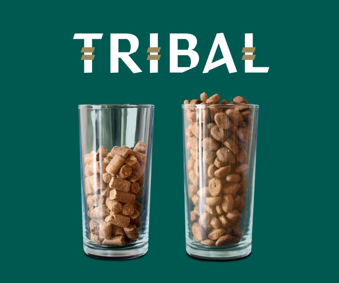 Tribal Fresh Pressed šalto spaudimo sausas maistas jauniems šuniukams su kalakutiena