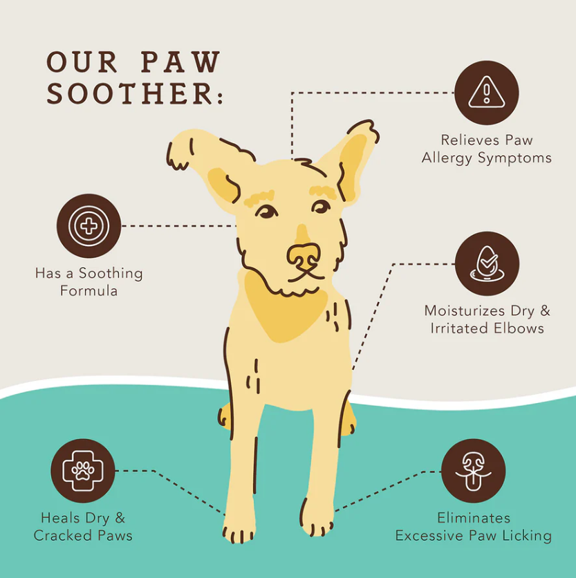 Gydomasis balzamas pėdutėms "Natural Dog Company Paw Soother"