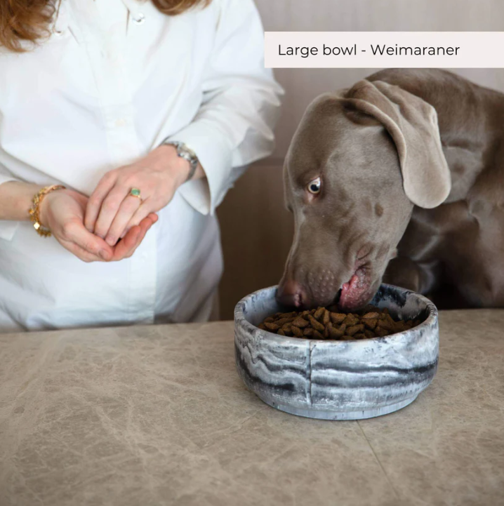 Dubenėlis šunims "Pino"