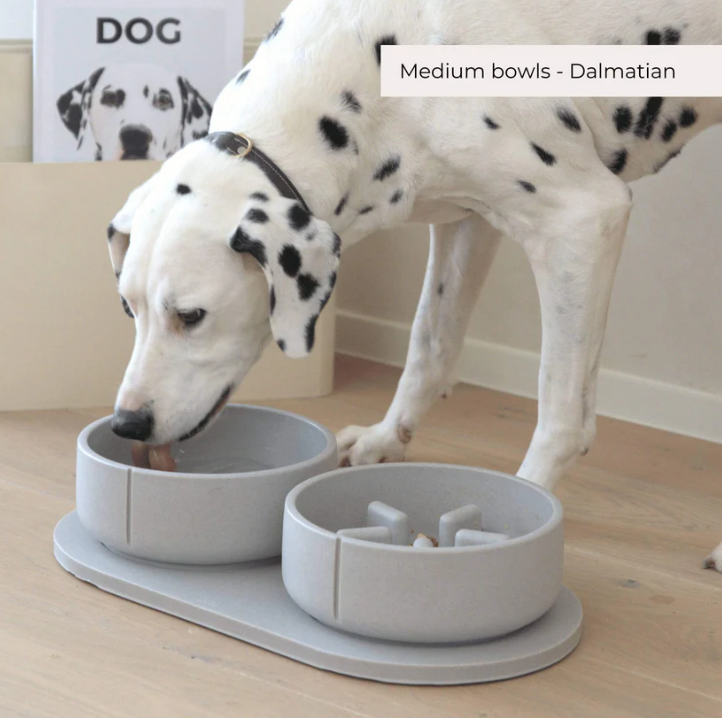 Lėto valgymo dubenėlis šunims "Pino"