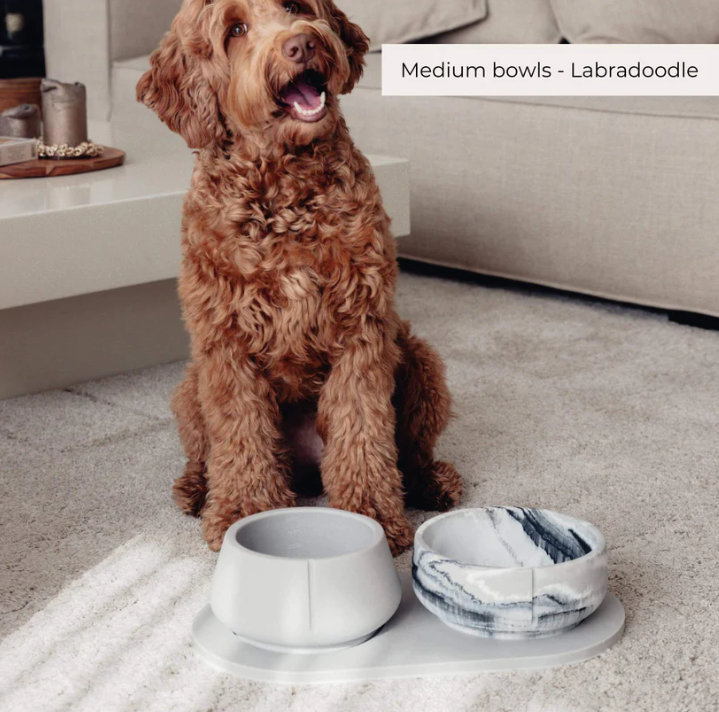 Dubenėlis ilgaausiams šunims "Pino"