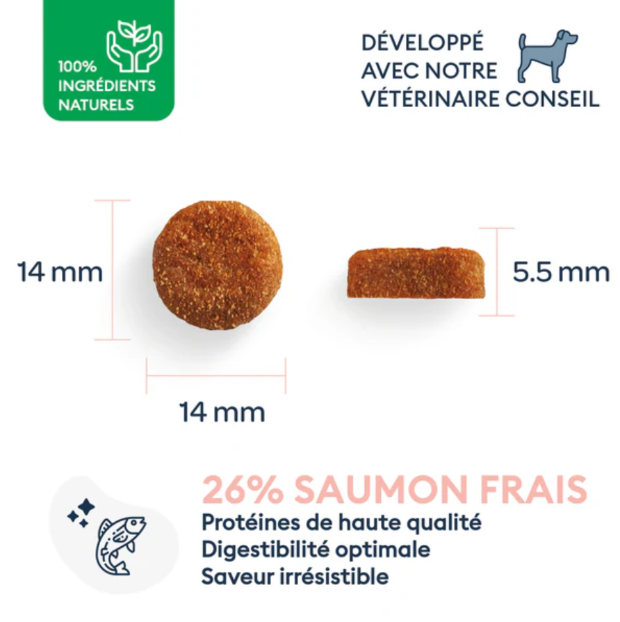 Marly & Dan sausas maistas vidutinio dydžio veislių suaugusiems šunims su lašiša