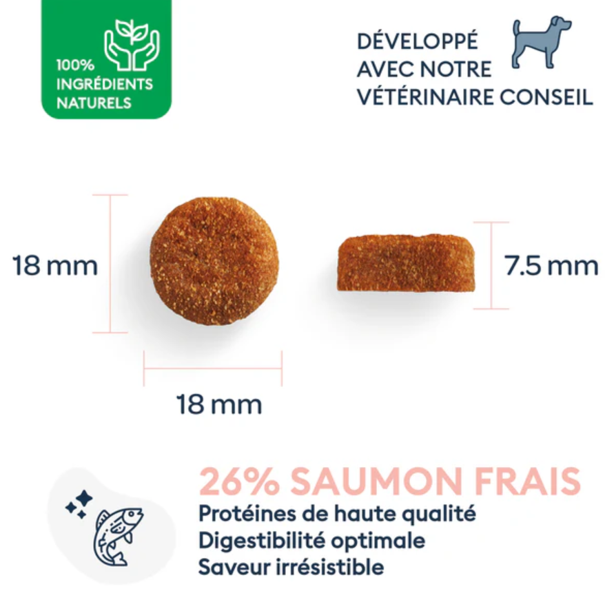 Marly & Dan sausas maistas didelių veislių suaugusiems šunims su lašiša