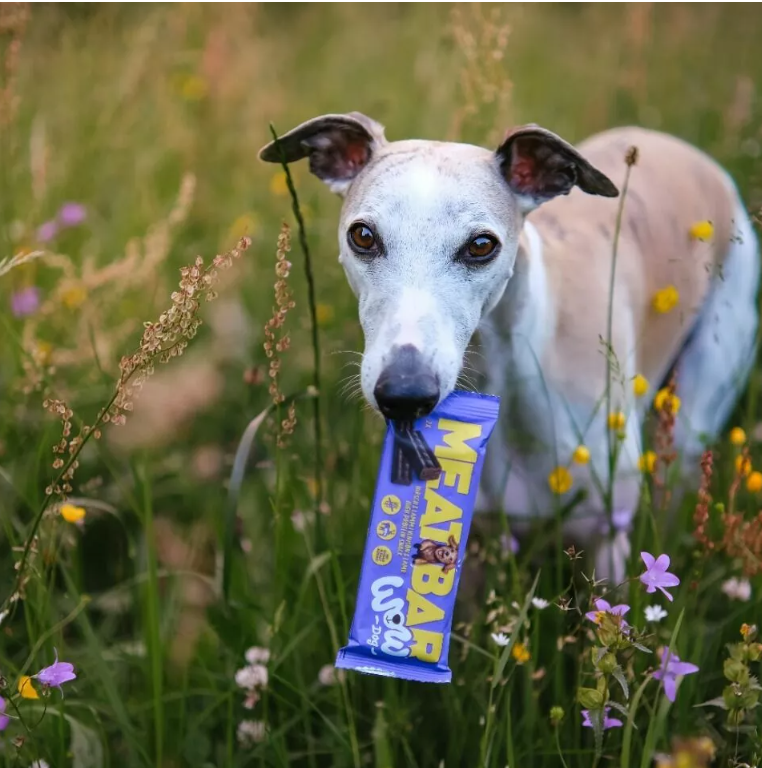 Proteino batonėlis šunims Wow Dog Meat Bar su elniena ir ėriena