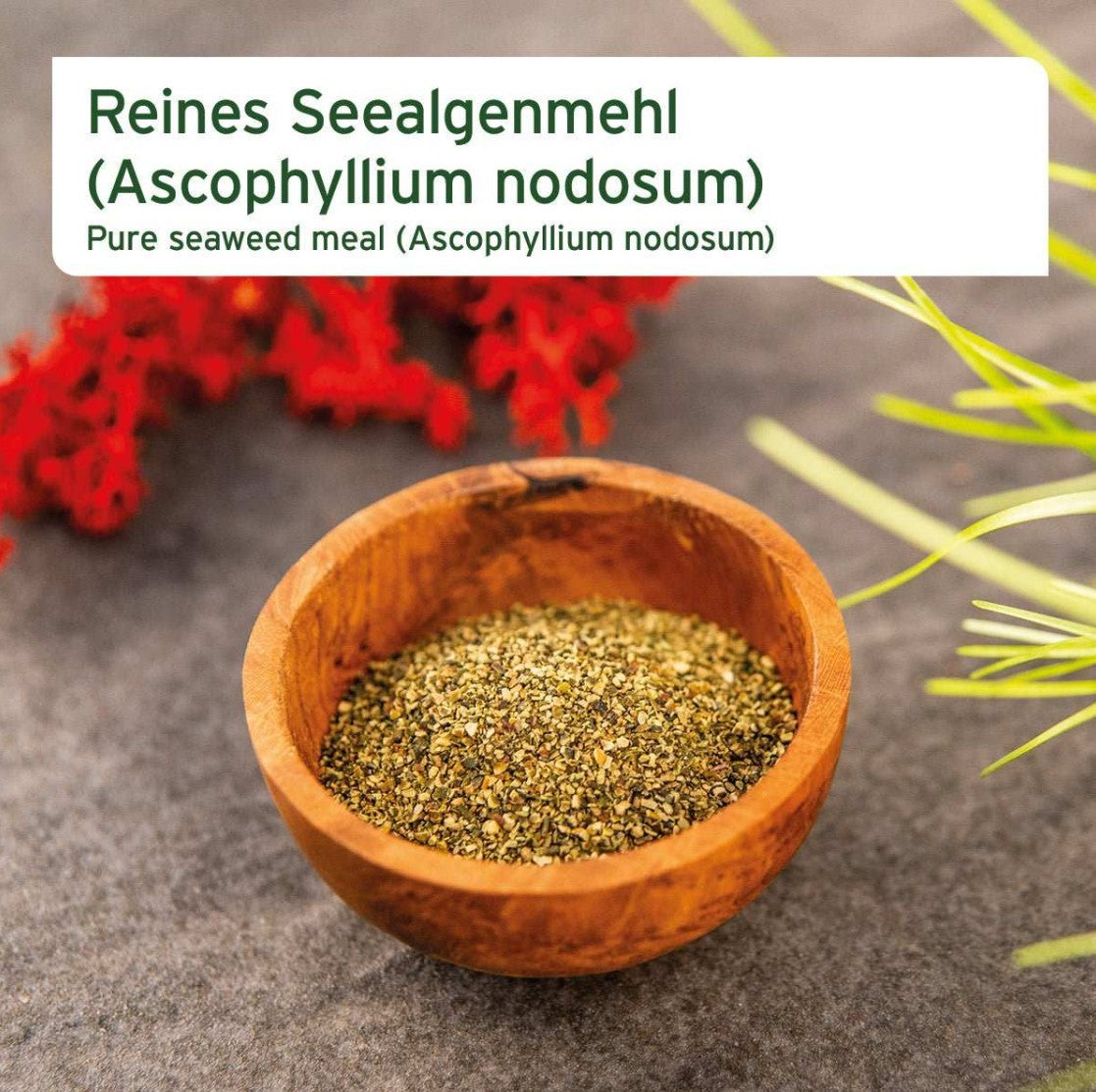 Maisto papildas šunims - jūros dumblių mišinys "Aniforte Seaweed Powder"