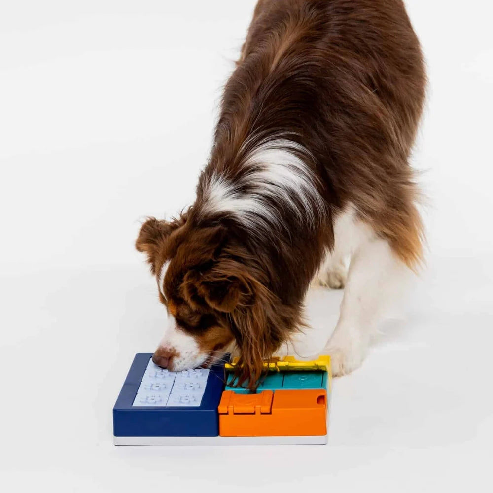 Galvosūkis šunims Pawzler Smarty Set
