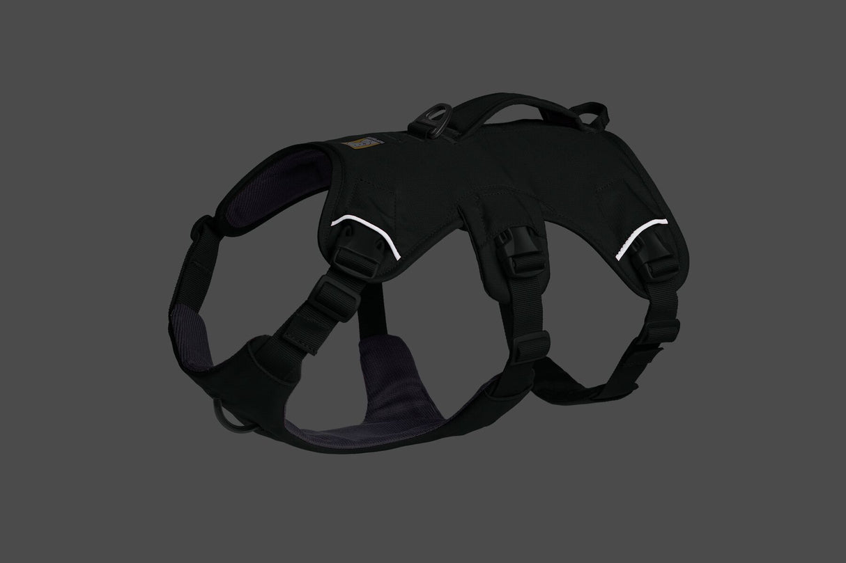 Petnešos "Ruffwear Web Master"