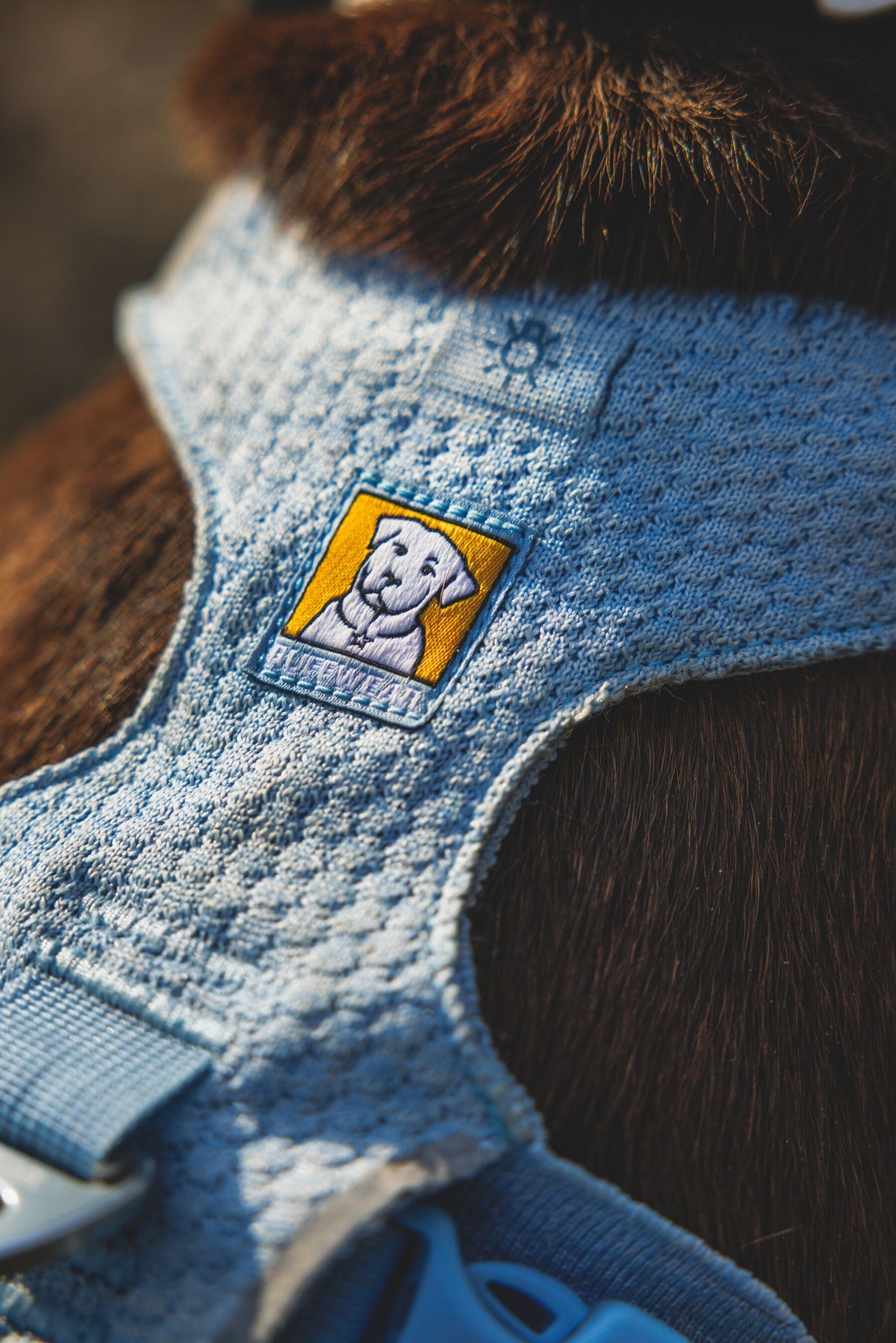 Petnešos "Ruffwear Front Range Flex"