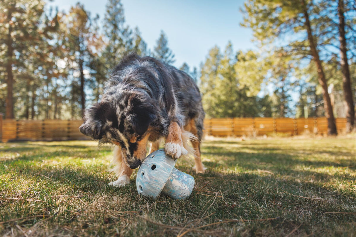 Ruffwear zaislas sunims grybas