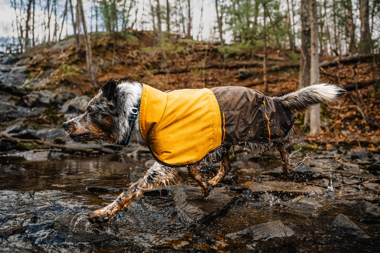 Lietpaltis "Ruffwear Sun Shower"