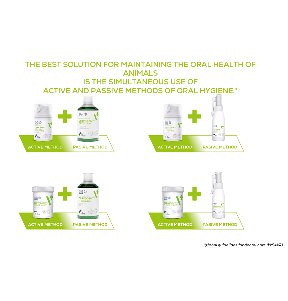 Skystis šunų ir kačių burnos higienai VetExpert Caryodent Proliqua, 250 ml