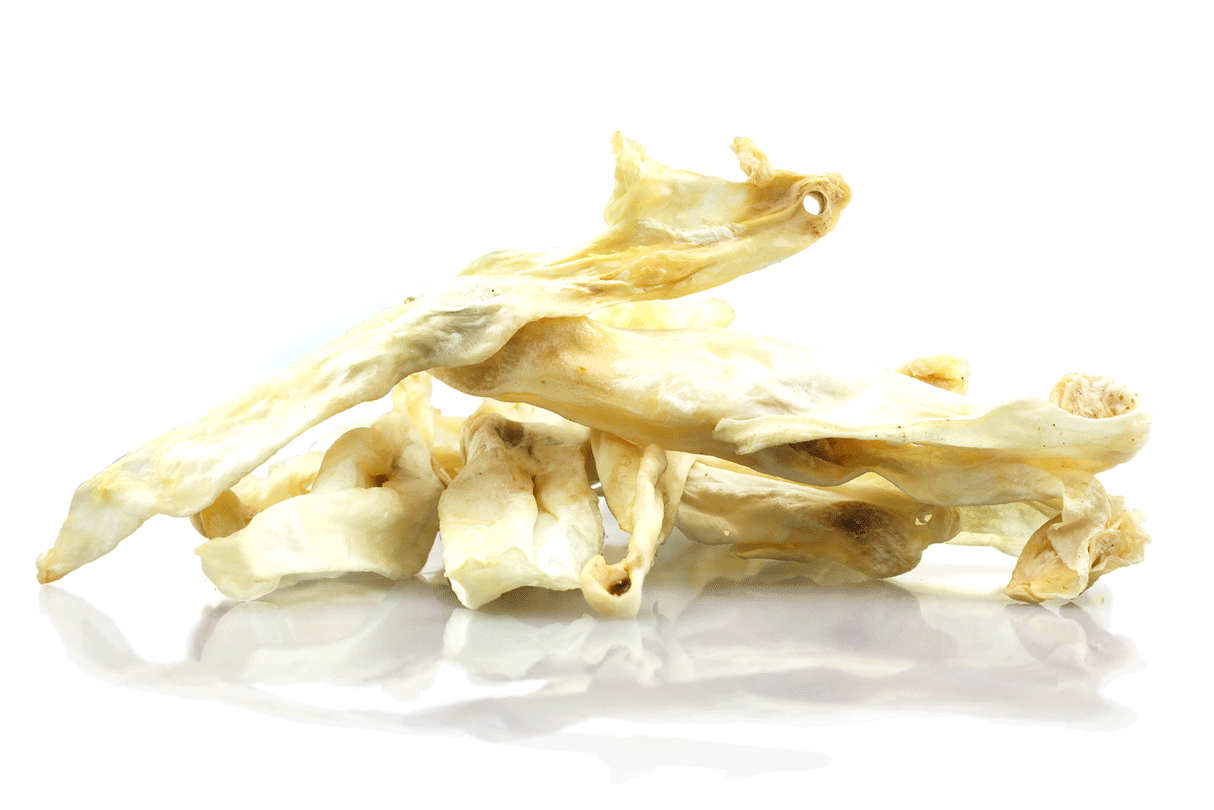 Triušio ausys be kailio "Pets Best"