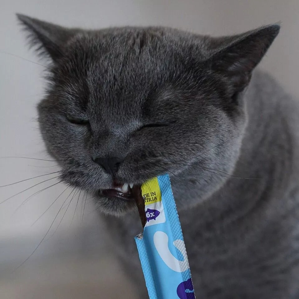 Wow Cat Soft Sticks skanėstas katėms minkštos lazdelės su lašiša