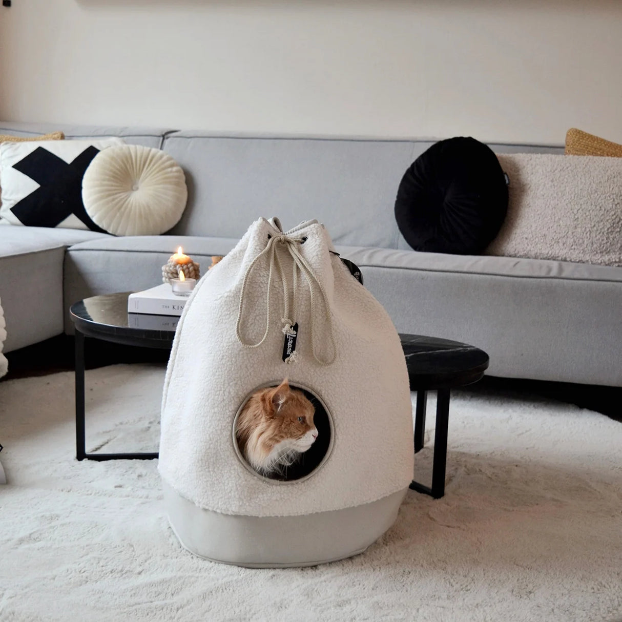 Sulankstomas namelis katems