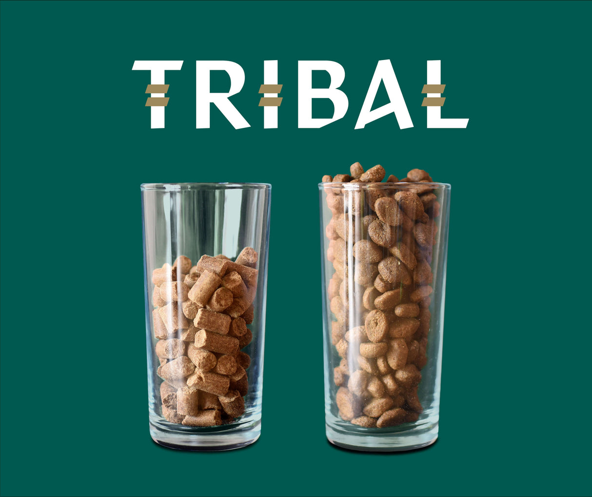 Tribal Fresh Pressed šalto spaudimo sausas maistas mažų veislių suaugusiems šunims su lašiša