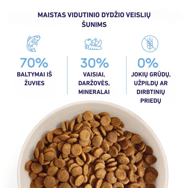 Marly & Dan sausas maistas vidutinio dydžio veislių suaugusiems šunims su lašiša