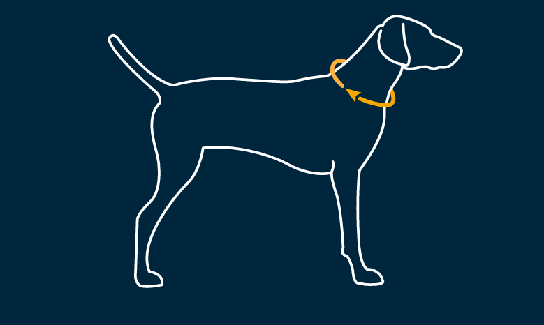 Vėsinanti kaklo mova šunims "Ruffwear Swamp Cooler"