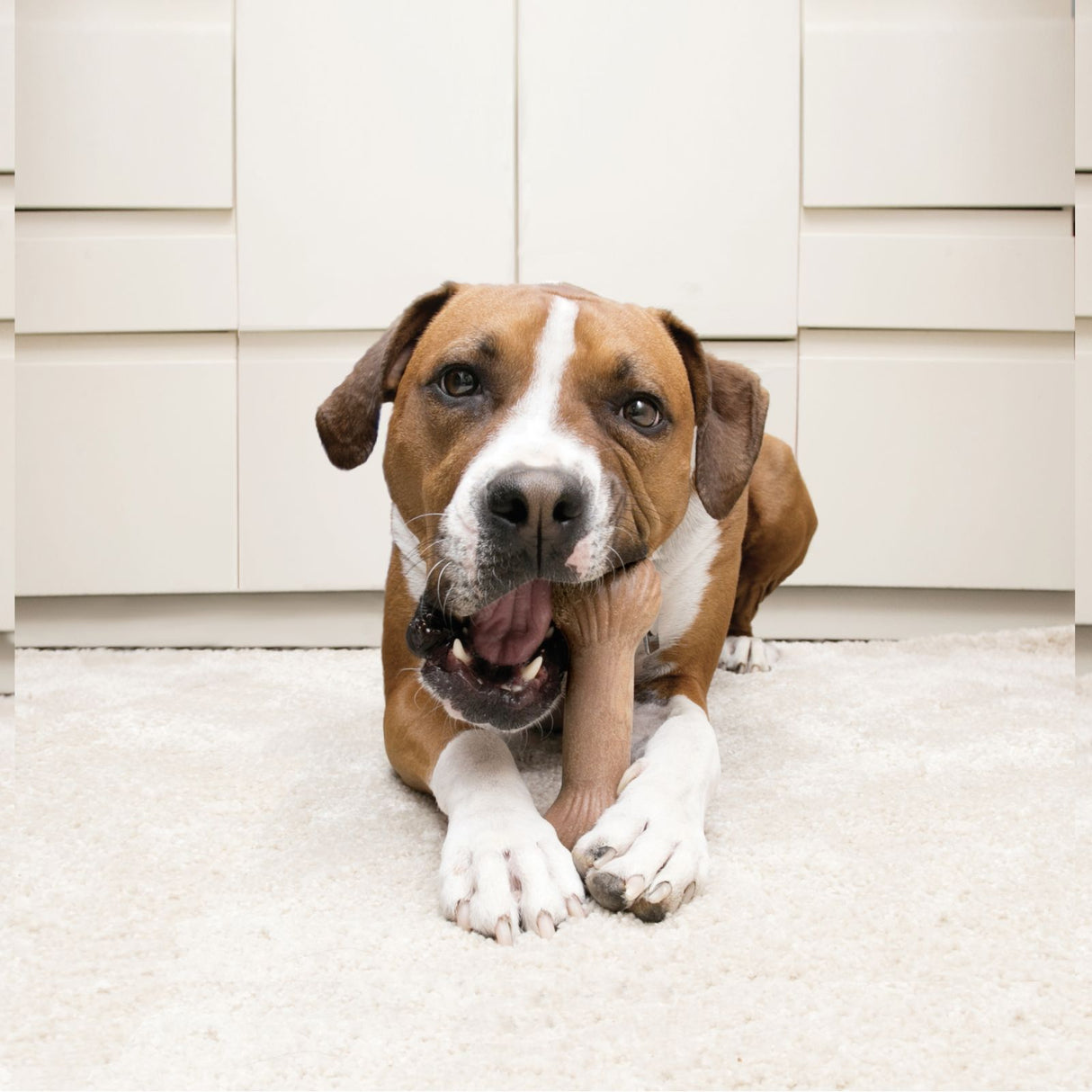 Medinis žaislas-kramtukas "KONG Chewstix Ultra"