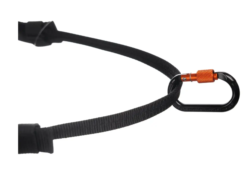 Suns pavadeliui prie juosmens