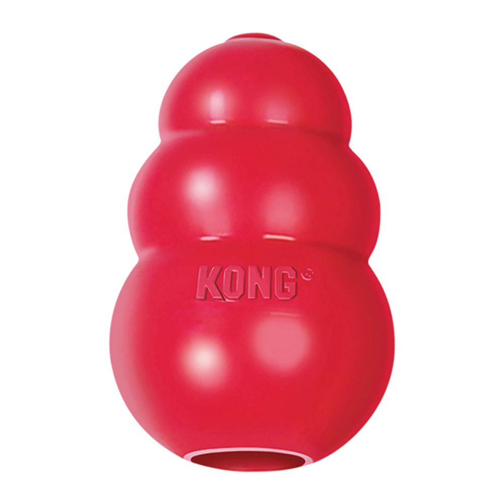 KONG Classic sunims