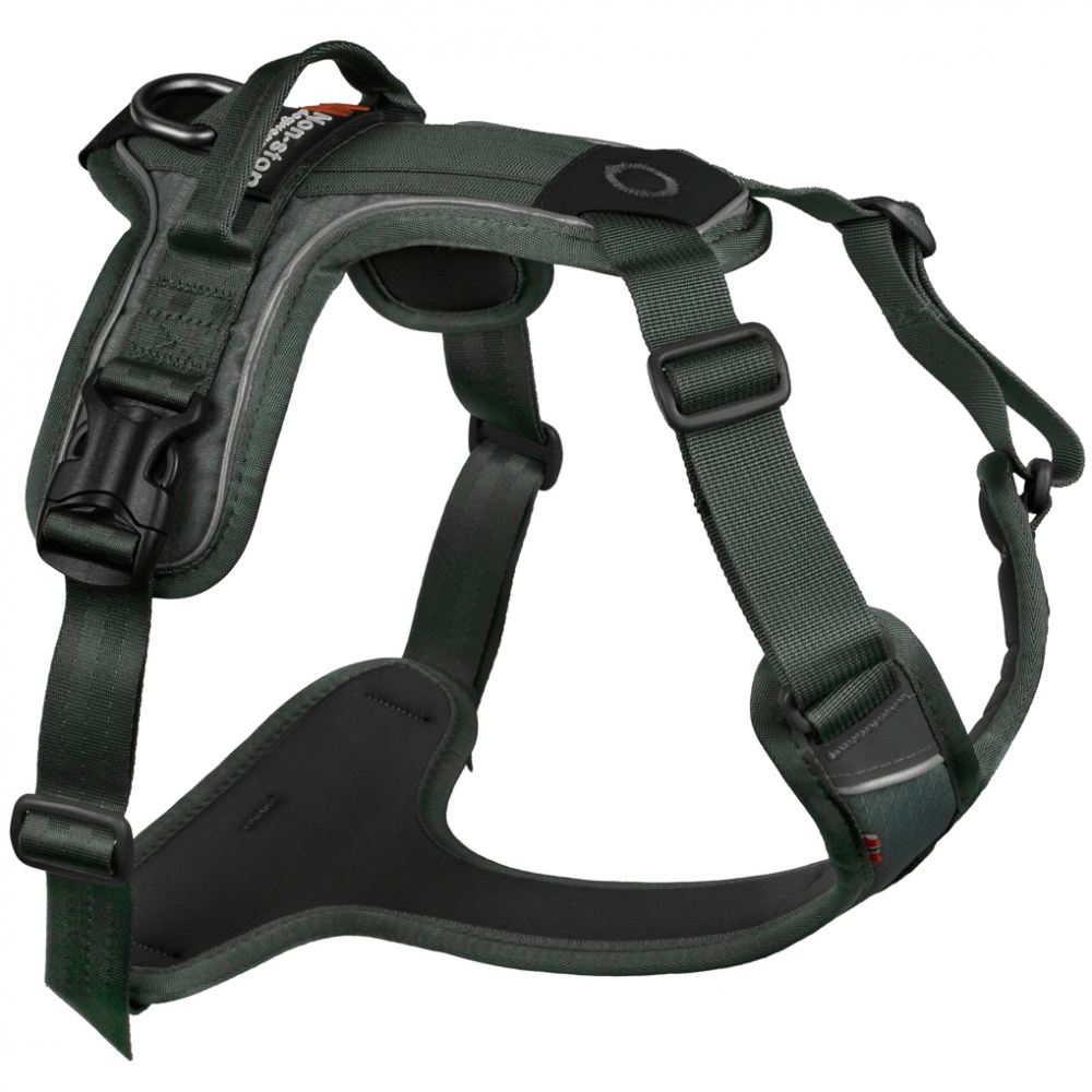 Petnesos sunims Non stop ramble