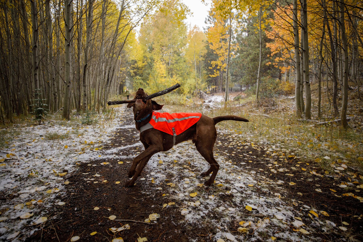 Ryški šviesą atspindinti liemenė "Ruffwear Track Jacket"
