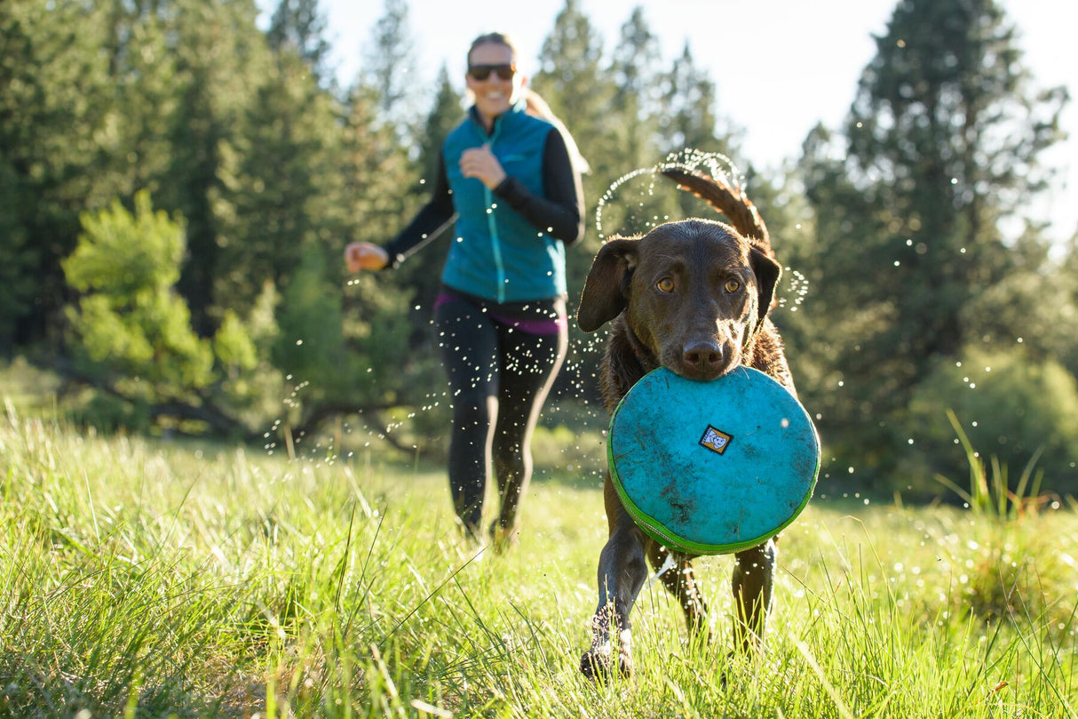 Ruffwear skraidanti lekste sunims