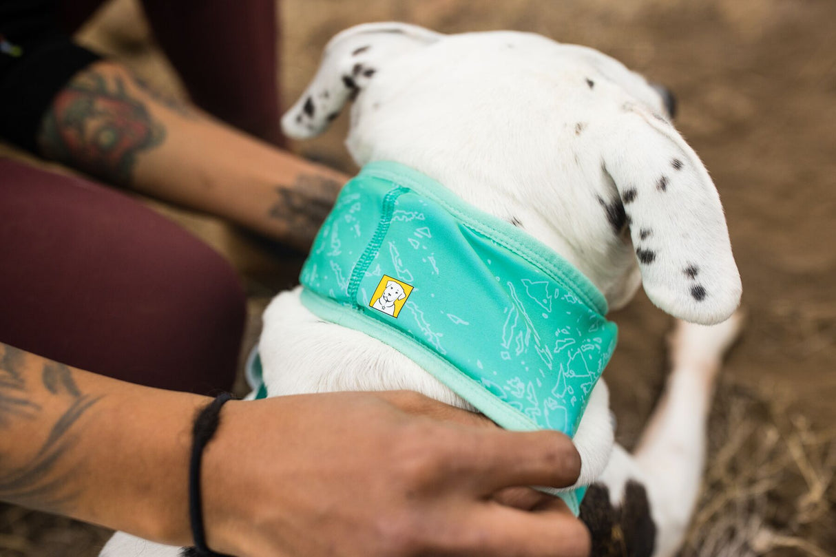 Vėsinanti kaklo mova šunims "Ruffwear Swamp Cooler"
