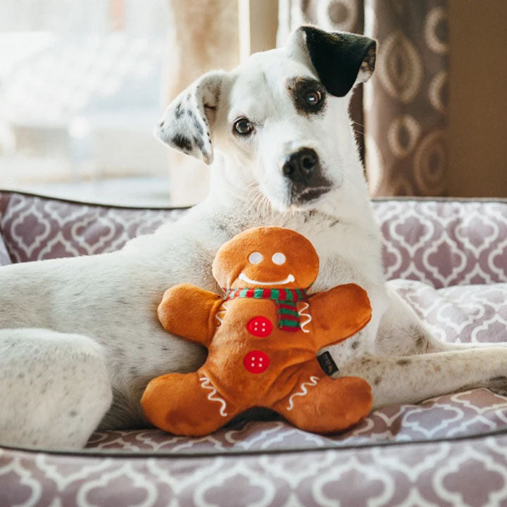 P.L.A.Y. kalėdinis imbierinis sausainis