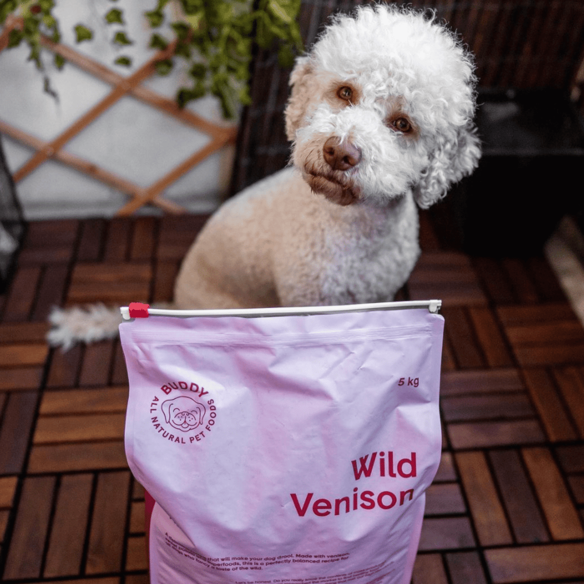 Buddy Wild Venison begrūdis sausas maistas šunims su elniena