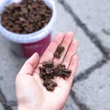 Vieno baltymo dresūros skanėstai šunims su elniena Buddy Venison Training Snacks