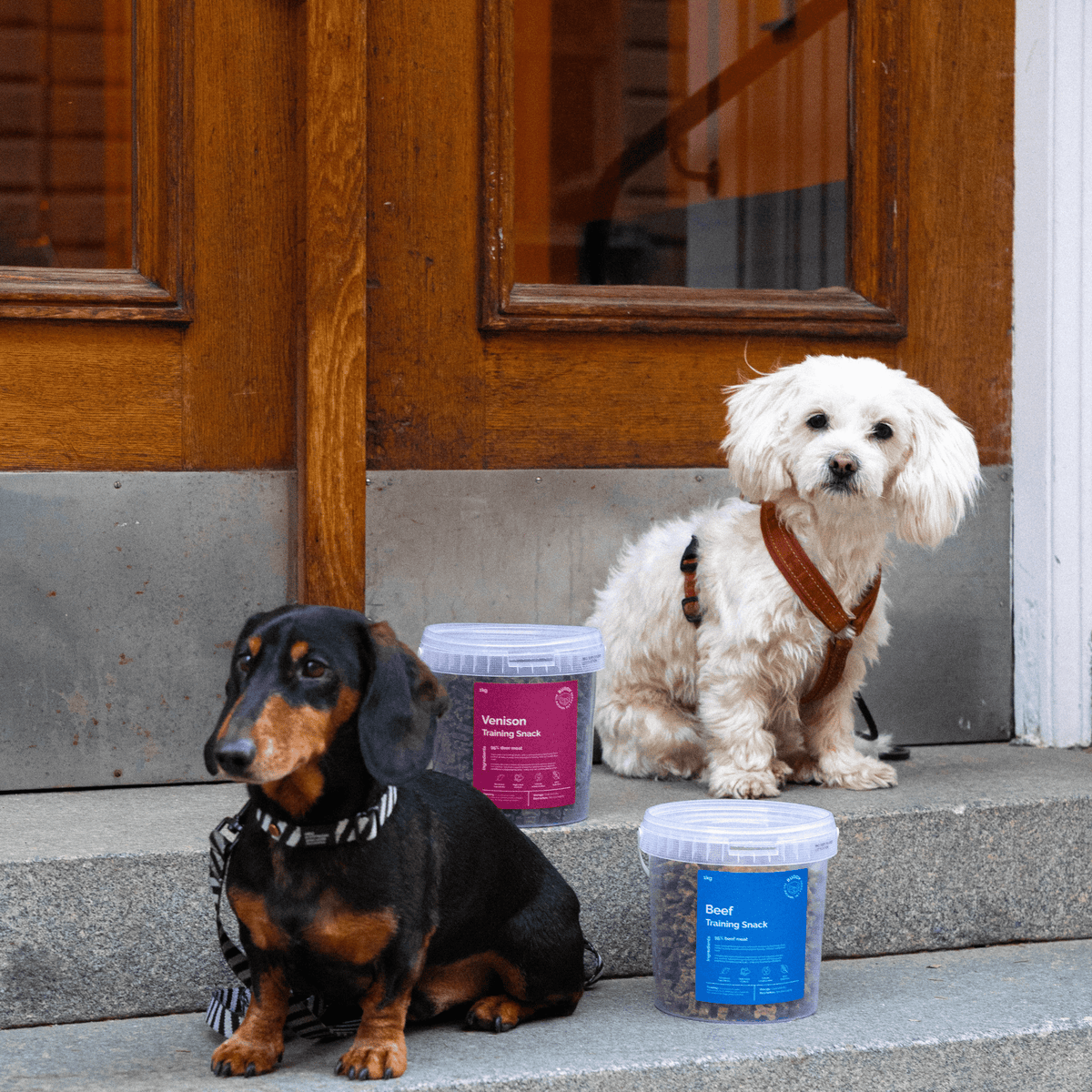 Vieno baltymo dresūros skanėstai šunims su elniena Buddy Venison Training Snacks
