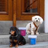 Vieno baltymo dresūros skanėstai šunims su elniena Buddy Venison Training Snacks