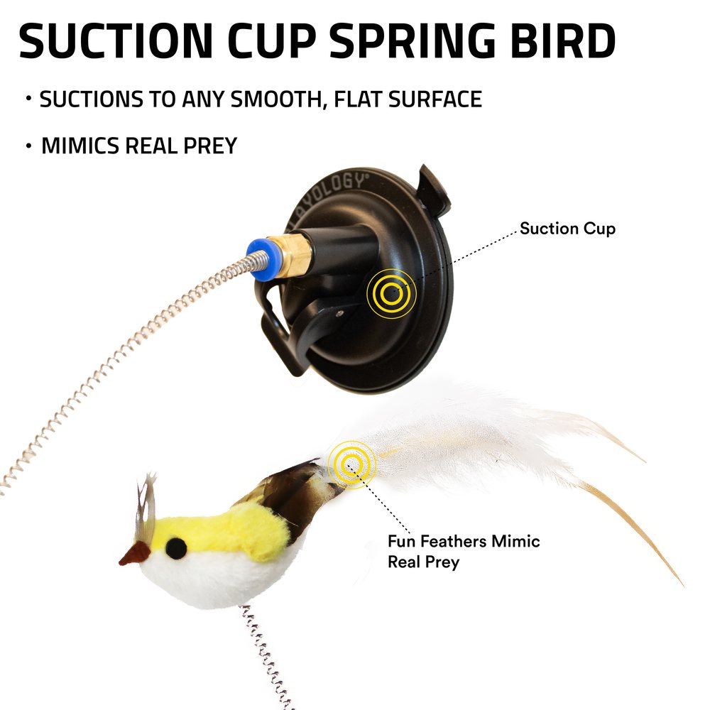 Paukštis su siurbtuku katėms "Playology Suction Cup Spring Bird"