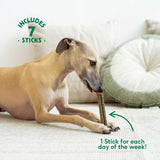 Wild Balance Dental Sticks for Dogs with Rabbit, Chamomile and Sage – for sensitive stomachs