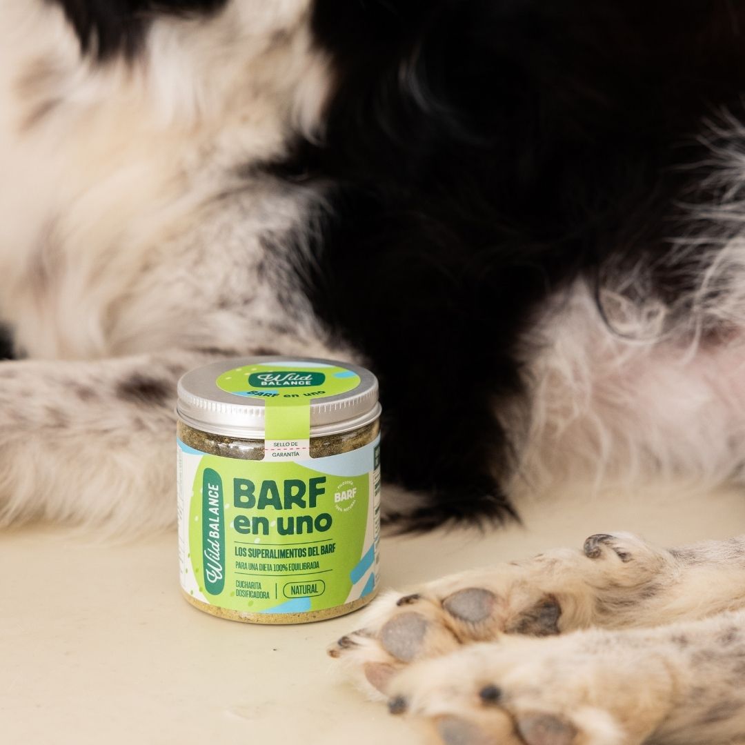 Food supplement for dogs to supplement BARF diet "Wild Balance Barf in One"