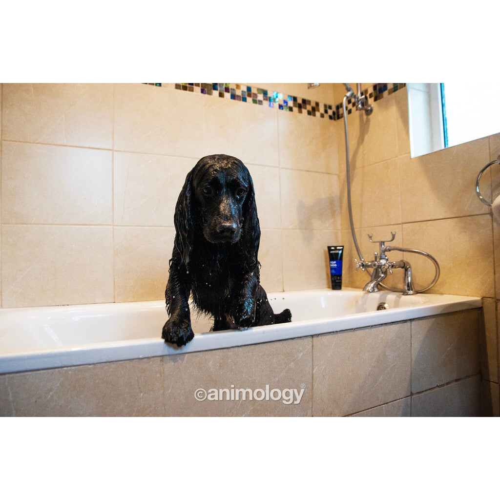Kondicionierius šunims Animology Top Dog Conditioner (250 ml)