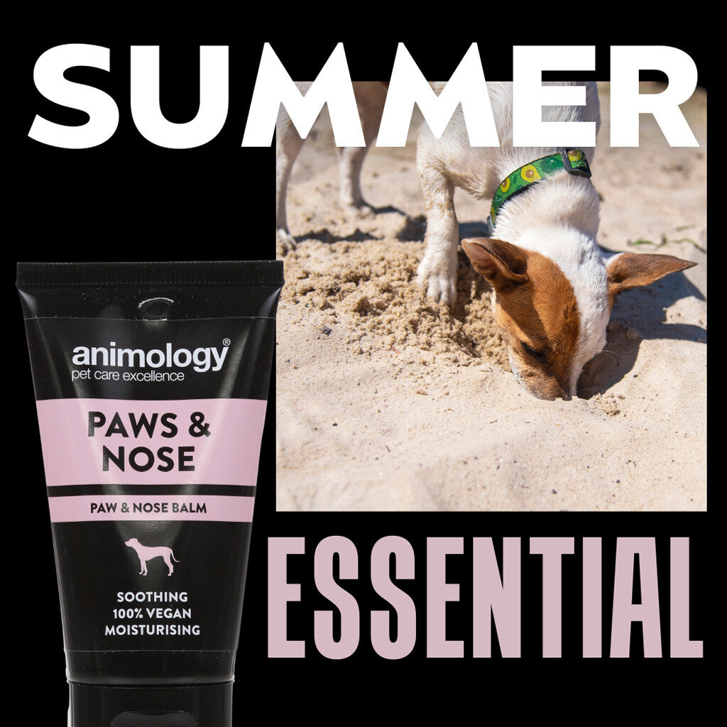 Pėdučių ir nosies balzamas šunims Animology Paws & Nose Balm (50 ml)