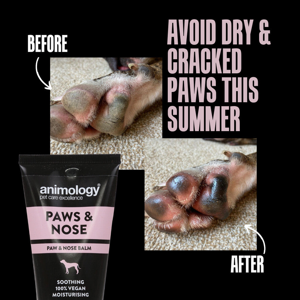 Pėdučių ir nosies balzamas šunims Animology Paws & Nose Balm (50 ml)