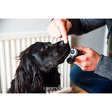 Pėdučių ir nosies balzamas šunims Animology Paws & Nose Balm (50 ml)