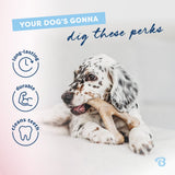 Kramtomas žaislas šuniukams "Benebone Puppy Wishbone"