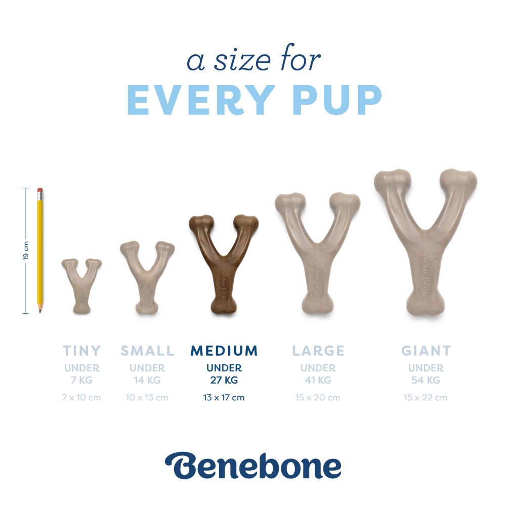 Kramtomas žaislas šuniukams "Benebone Puppy Wishbone"