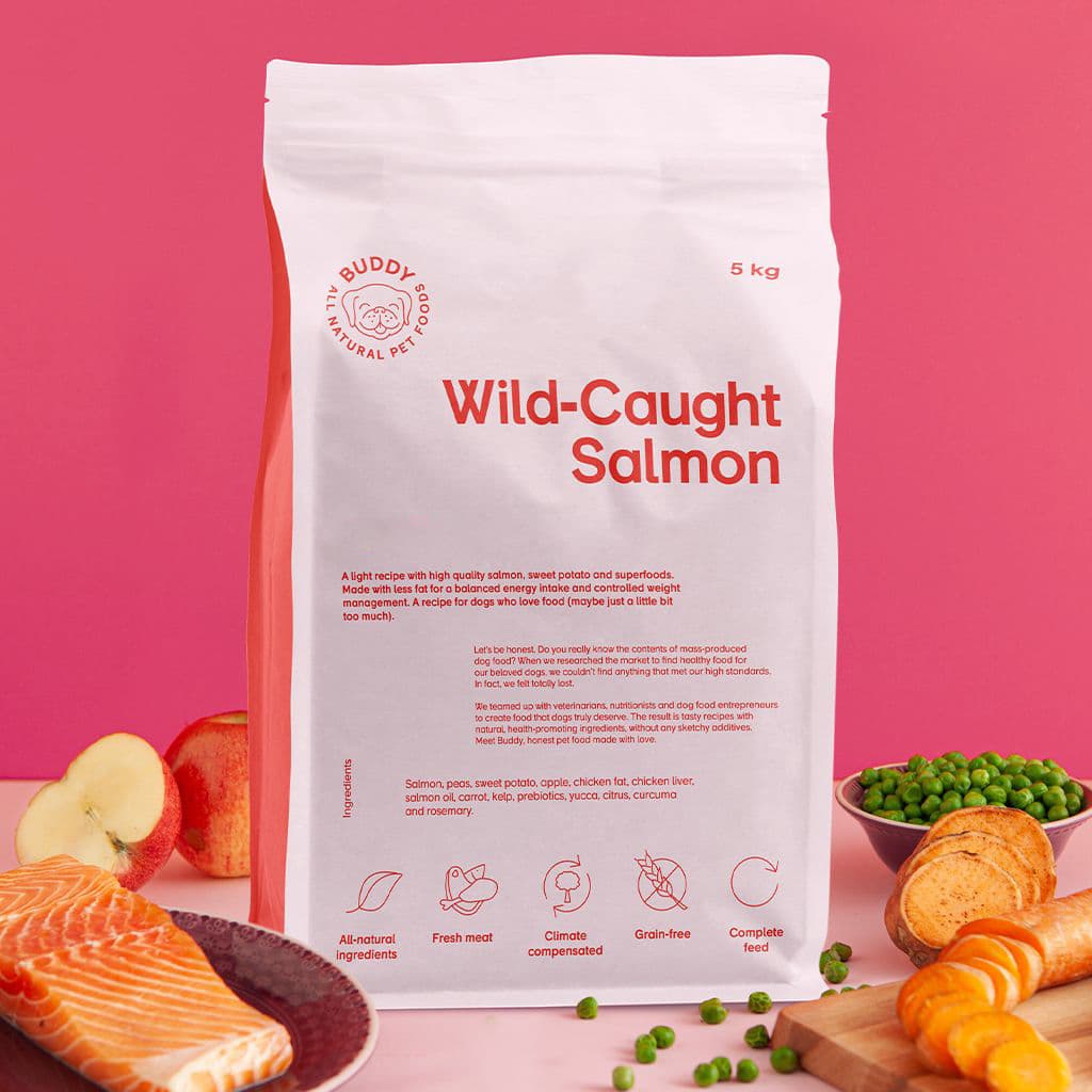 Buddy Wild-Caught Salmon begrūdis sausas maistas vyresniems ir mažiau aktyviems šunims su lašiša