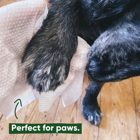 Dregnos serveteles sunu pedutems