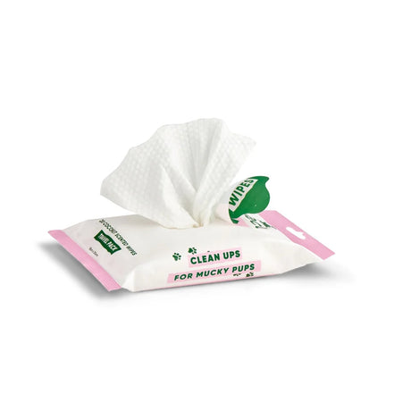 Drėgnos kelioninės higieninės servetelės "Beco" (kokosų kvapo)