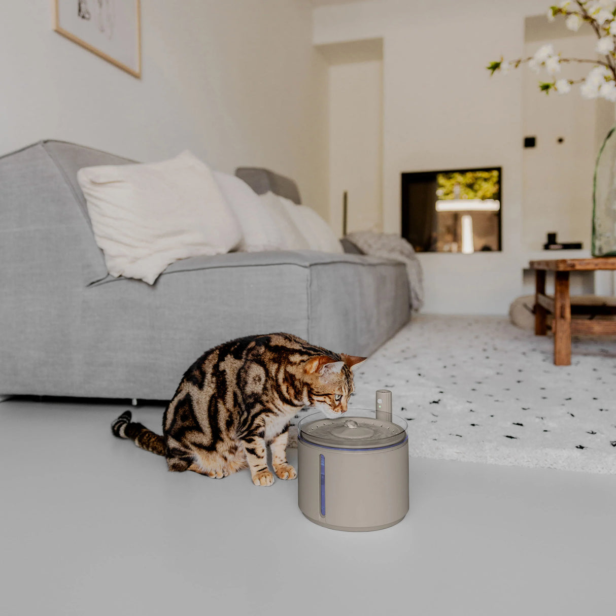 Belaidis vandens fontanas District 70 Flow