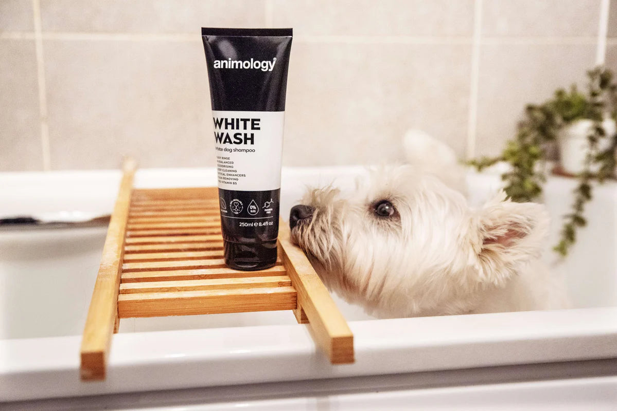 Šampūnas šunims, baltam kailiui Animology White Wash Shampoo (250 ml)