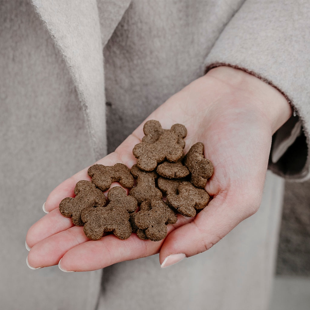 Skanėstai šunims su ėriena ir spanguolėmis Buddy Lamb Crunch
