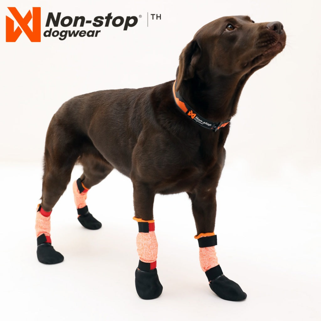 Non-stop sunu batukai