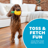 Žaislas šunims ananasas "Outward Hound Dental Pineapple"